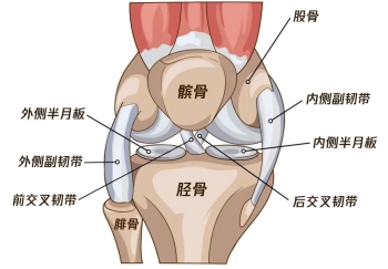 微信截图_20230910094000